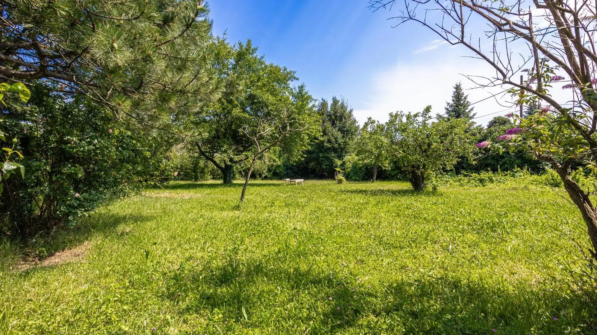 Comfy 3Br Apt With Garden, Up To 10 People Βιέννη